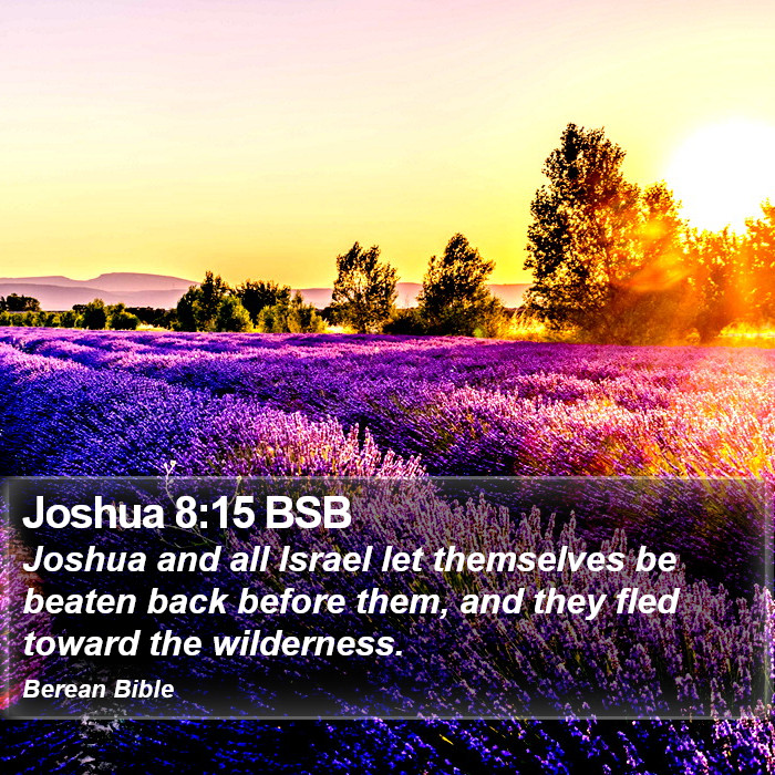 Joshua 8:15 BSB Bible Study