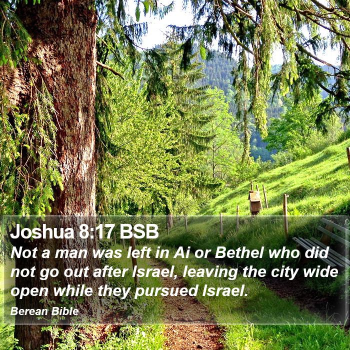 Joshua 8:17 BSB Bible Study