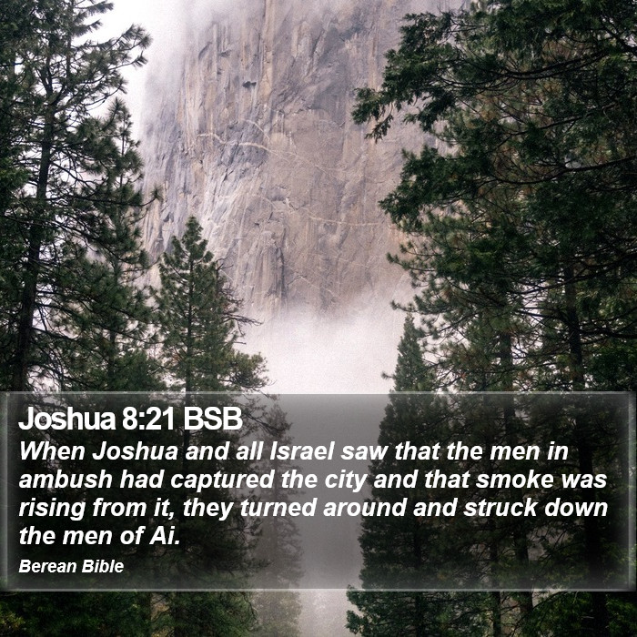 Joshua 8:21 BSB Bible Study