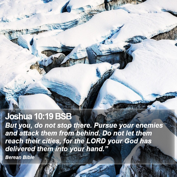 Joshua 10:19 BSB Bible Study