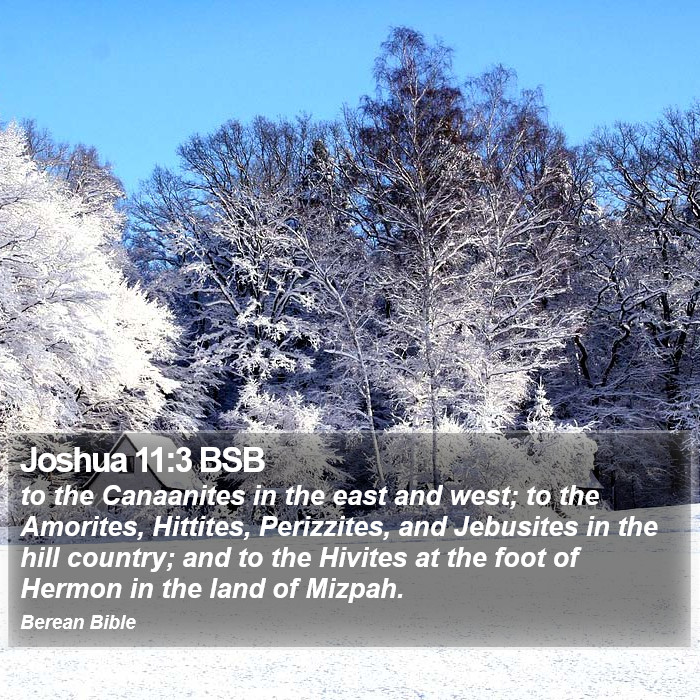 Joshua 11:3 BSB Bible Study