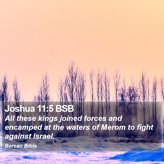 Joshua 11:5 BSB Bible Study