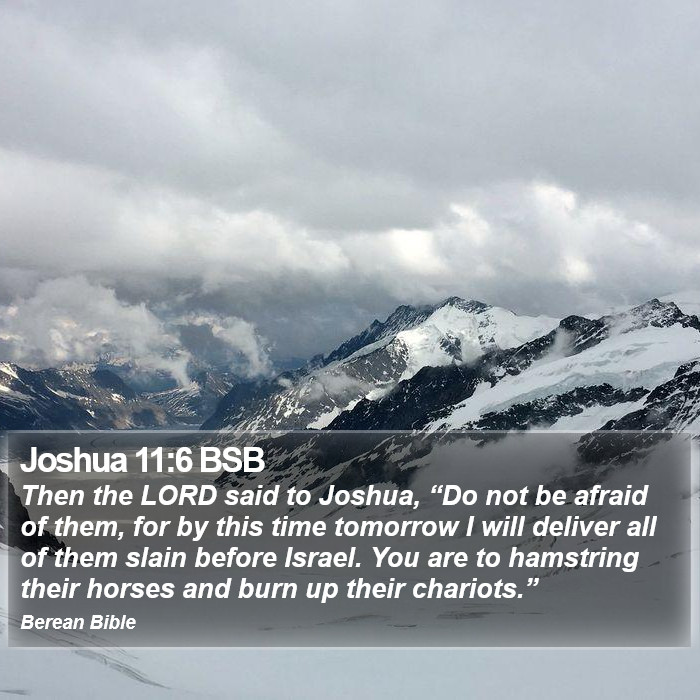 Joshua 11:6 BSB Bible Study