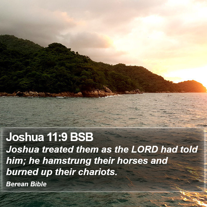 Joshua 11:9 BSB Bible Study