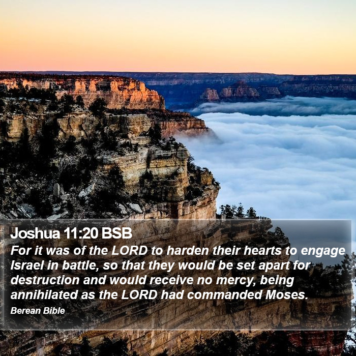 Joshua 11:20 BSB Bible Study