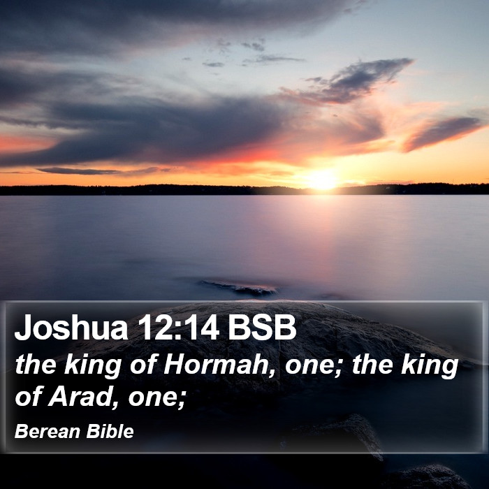 Joshua 12:14 BSB Bible Study