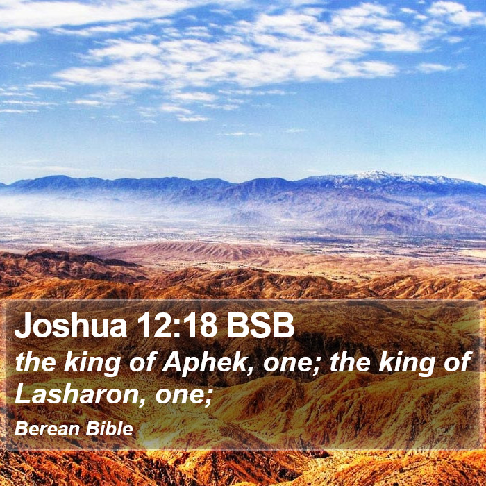 Joshua 12:18 BSB Bible Study