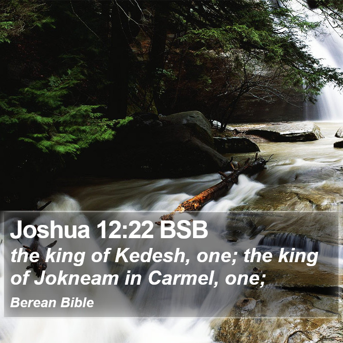 Joshua 12:22 BSB Bible Study