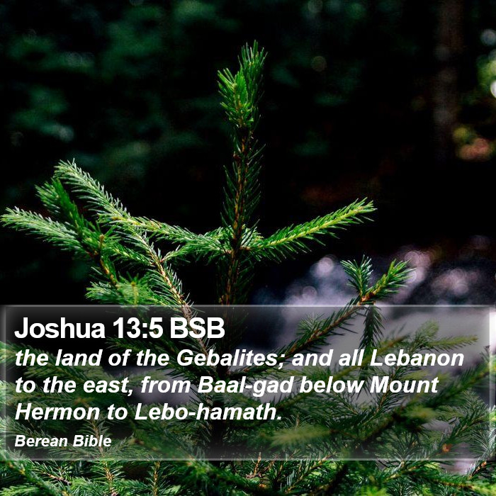 Joshua 13:5 BSB Bible Study