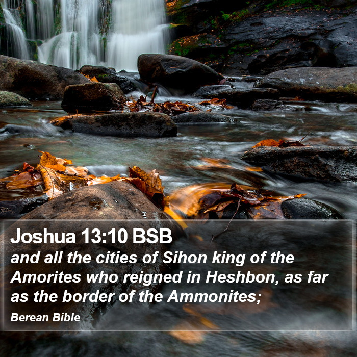 Joshua 13:10 BSB Bible Study