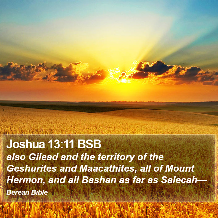 Joshua 13:11 BSB Bible Study