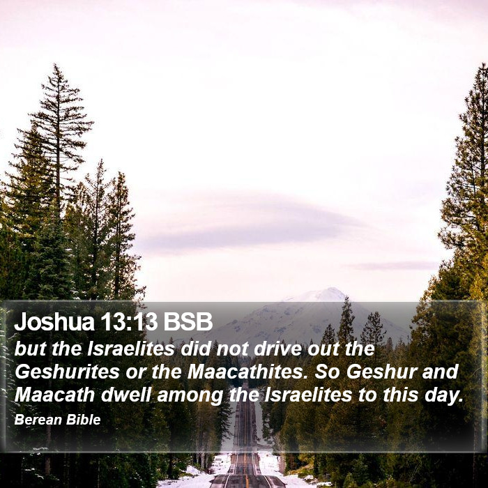 Joshua 13:13 BSB Bible Study