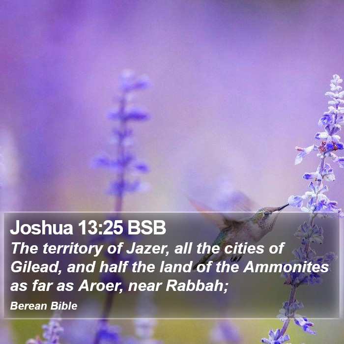 Joshua 13:25 BSB Bible Study