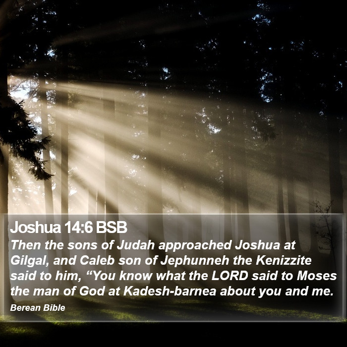 Joshua 14:6 BSB Bible Study