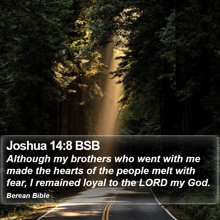 Joshua 14:8 BSB Bible Study