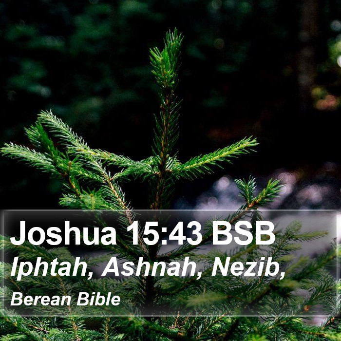 Joshua 15:43 BSB Bible Study