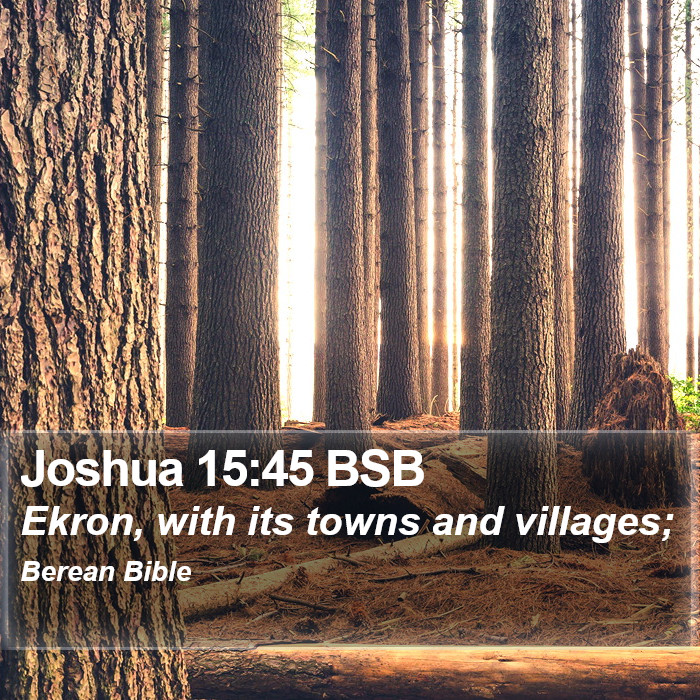 Joshua 15:45 BSB Bible Study