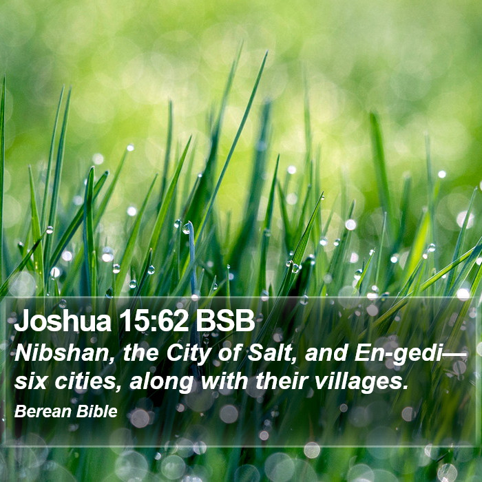 Joshua 15:62 BSB Bible Study