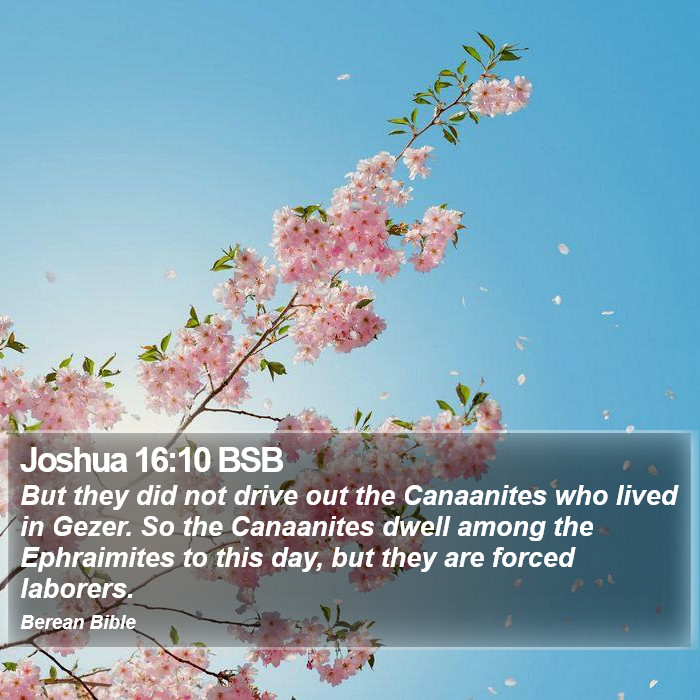 Joshua 16:10 BSB Bible Study