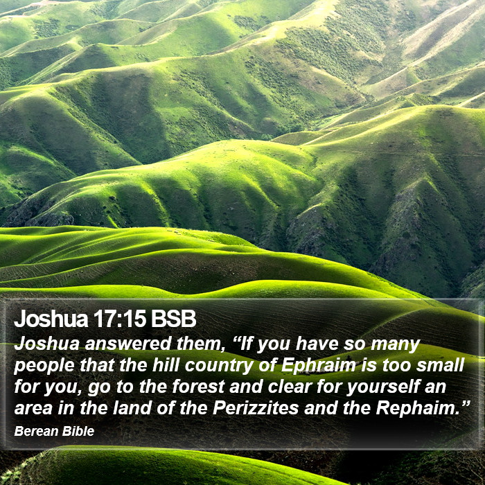 Joshua 17:15 BSB Bible Study