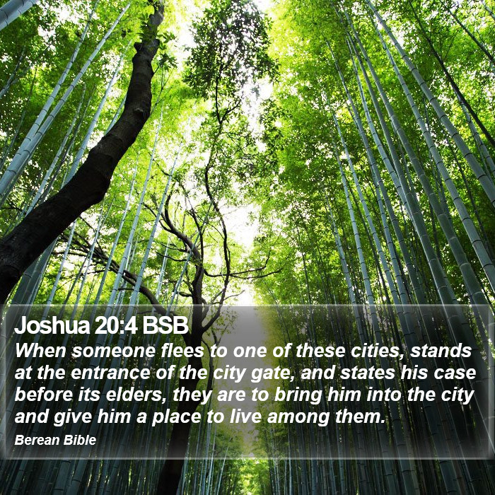 Joshua 20:4 BSB Bible Study