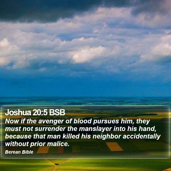 Joshua 20:5 BSB Bible Study