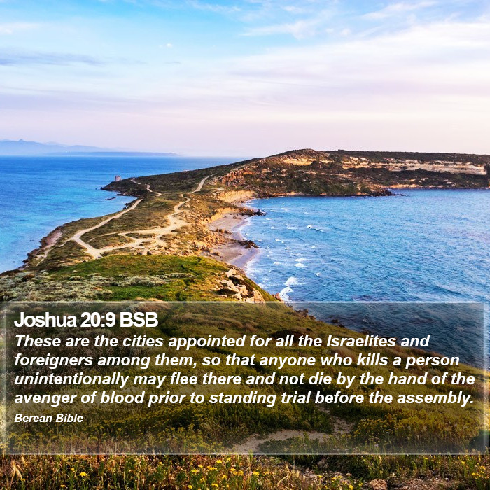 Joshua 20:9 BSB Bible Study