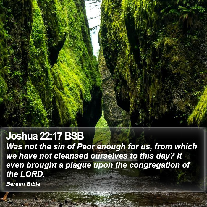 Joshua 22:17 BSB Bible Study