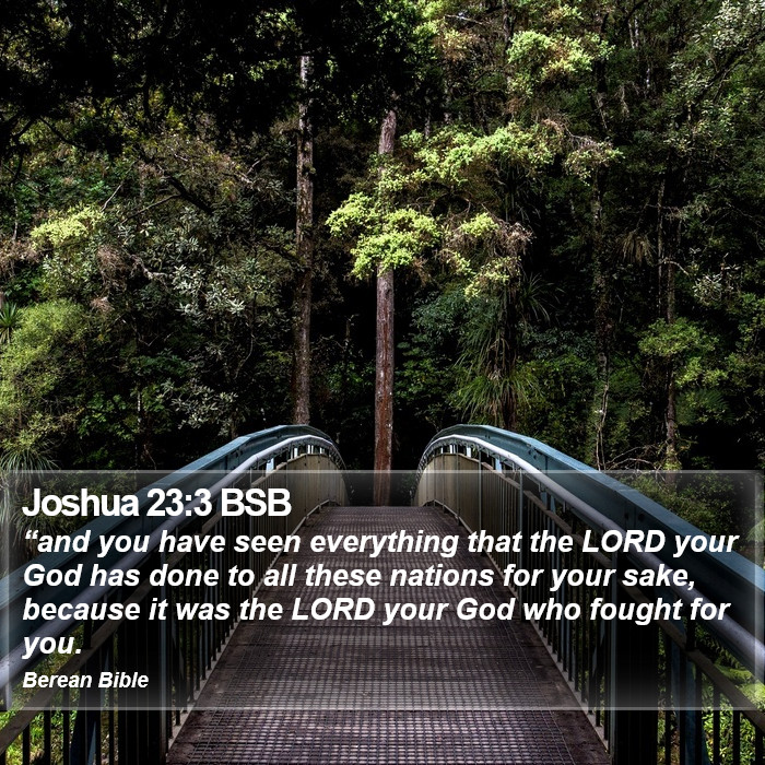 Joshua 23:3 BSB Bible Study