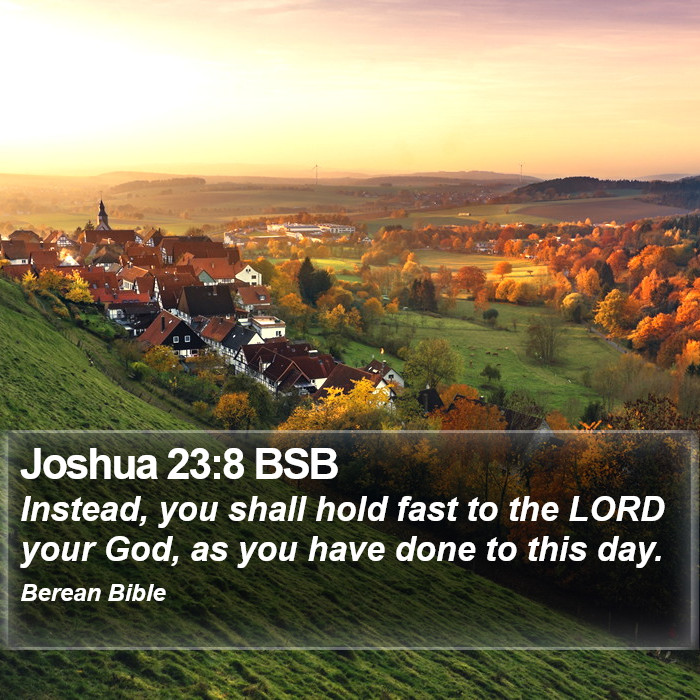 Joshua 23:8 BSB Bible Study