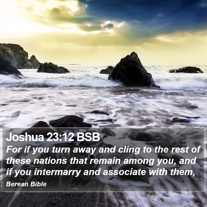 Joshua 23:12 BSB Bible Study