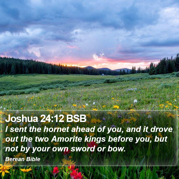 Joshua 24:12 BSB Bible Study