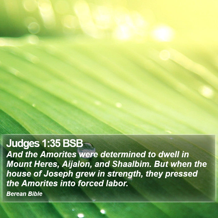 Judges 1:35 BSB Bible Study