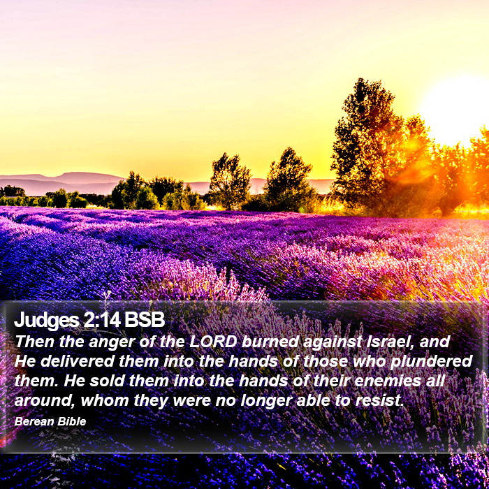 Judges 2:14 BSB Bible Study