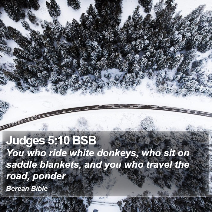 Judges 5:10 BSB Bible Study