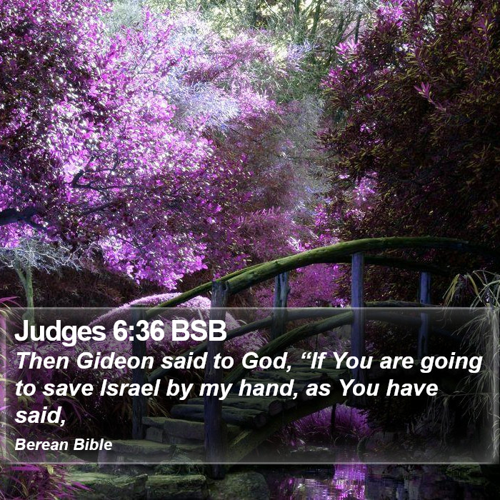 Judges 6:36 BSB Bible Study