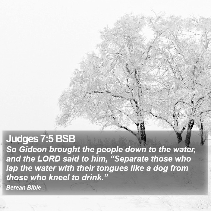 Judges 7:5 BSB Bible Study