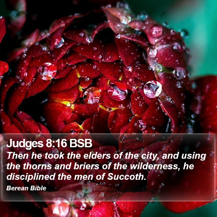 Judges 8:16 BSB Bible Study