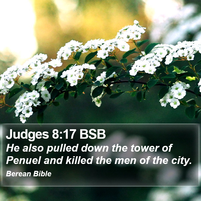 Judges 8:17 BSB Bible Study