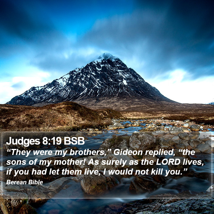 Judges 8:19 BSB Bible Study