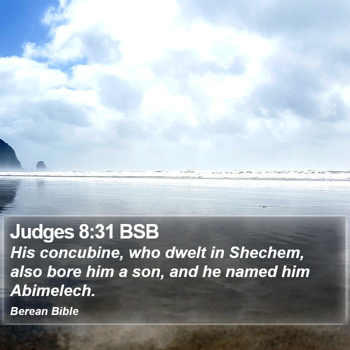 Judges 8:31 BSB Bible Study