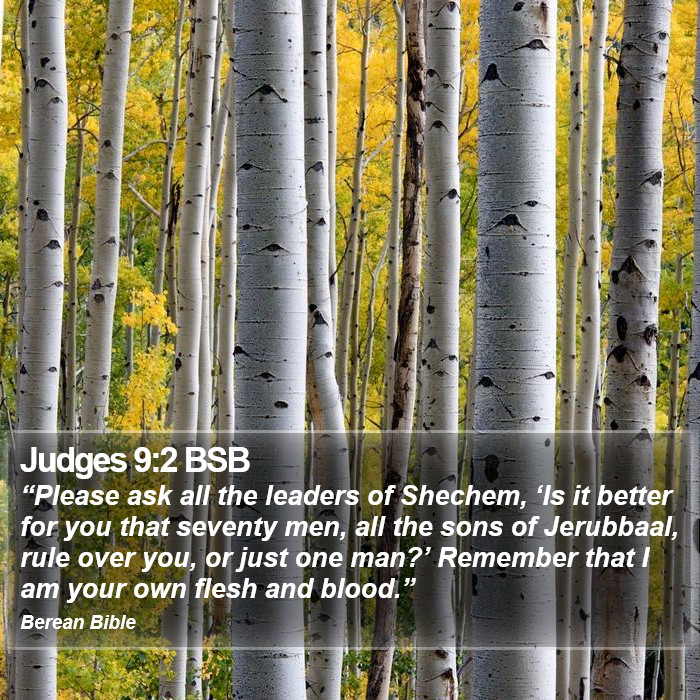 Judges 9:2 BSB Bible Study