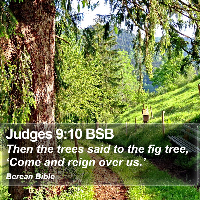 Judges 9:10 BSB Bible Study