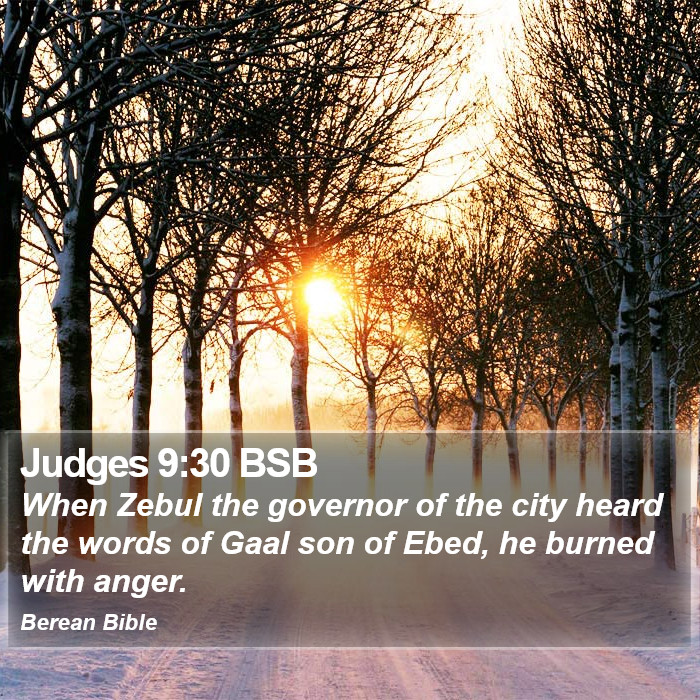 Judges 9:30 BSB Bible Study