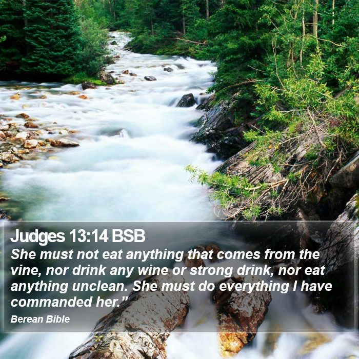 Judges 13:14 BSB Bible Study