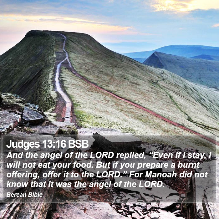 Judges 13:16 BSB Bible Study