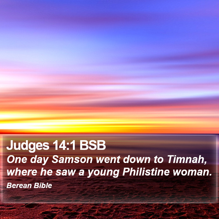 Judges 14:1 BSB Bible Study