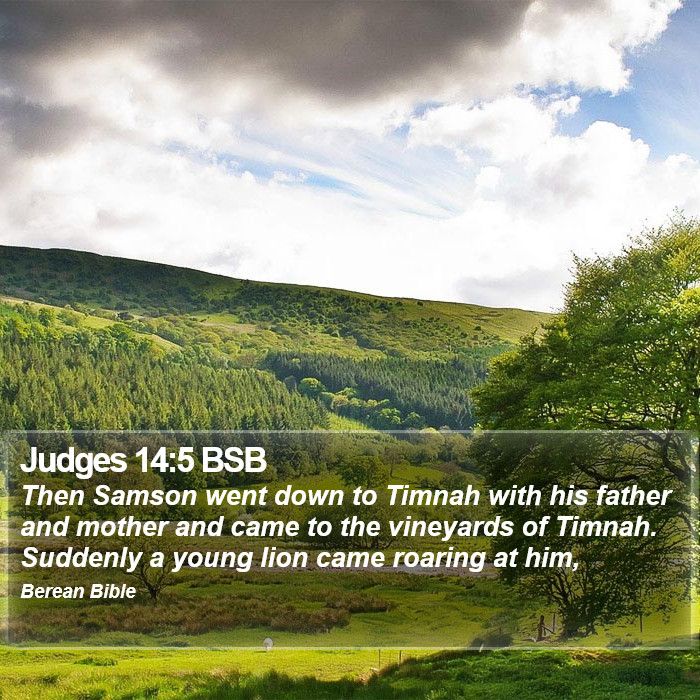 Judges 14:5 BSB Bible Study