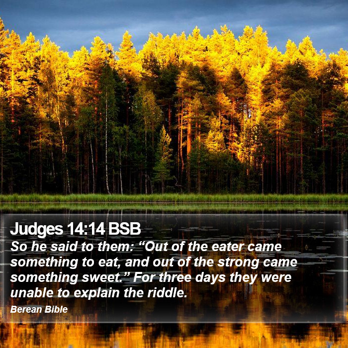 Judges 14:14 BSB Bible Study