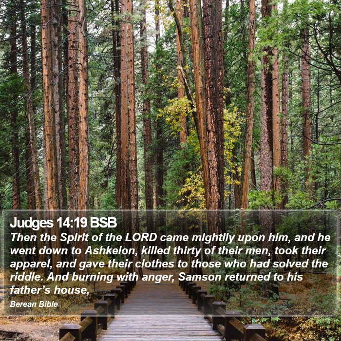 Judges 14:19 BSB Bible Study